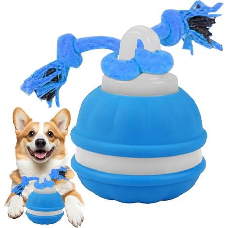 Jouet interactif pour chien et chat, balle automatique avec LED et son, TPU résistant aux morsures, rechargeable USB-C, 3 modes et corde incluse, bleu (1/5)