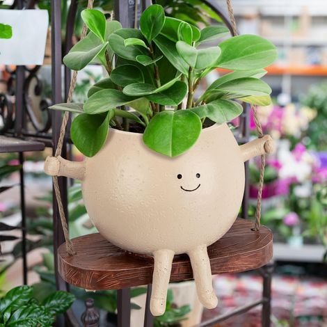 1 jolie jardinière à bascule en résine pour suspendre des plantes succulentes, des fleurs, des plantes - Cadeau pour la famille et les amis (1/5)
