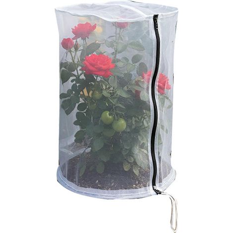 Toile de protection pour plantes – Cadre pré-assemblé et piquet de fixation – pour jardin et terrasse – Filet résistant à la déchirure (1/5)
