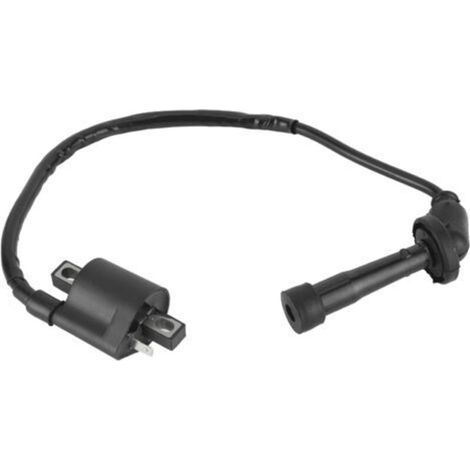 Bobina di accensione per Grizzly 660 YFM660 2002 2003 2004 2005 2006 2007 2008 Ricambi per ATV (1/4)