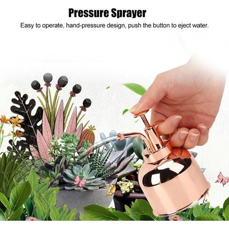 Filiyano-Magnifique arrosoir manuel à pression, pulvérisateur pour plantes d'intérieur, accessoires pour plantes d'intérieur, pulvérisateur (1/5)