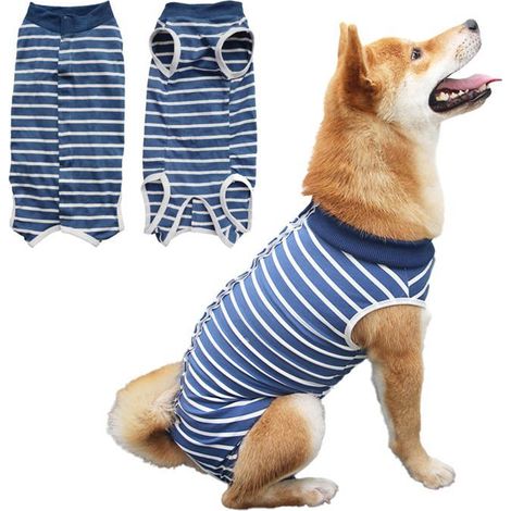 Combinaison récupération chien - Lot 2, body post-opératoire, médical bleu taille M, convient pour femelle mâle Aucunely (1/5)