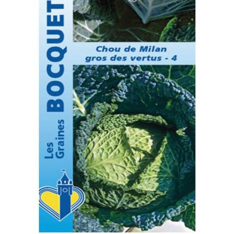 Chou de Milan 'Gros des Vertus' le sachet de 850 graines (3g) (1/2)