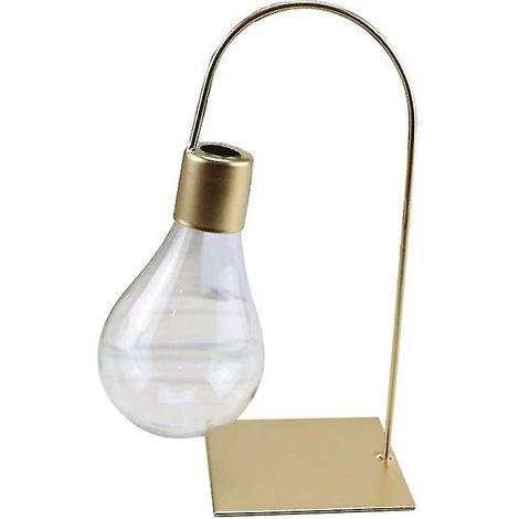 1 vase en verre pour plante (1/3)
