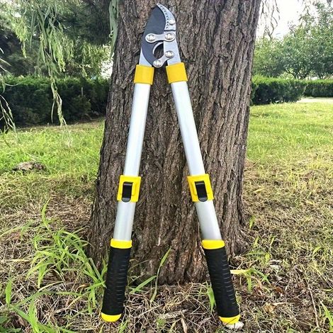 Sécateur télescopique à lame franche pour branches fruitières avec poignée ergonomique 1 pièce (1/4)