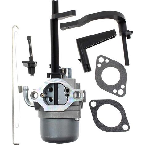 591378 Chasse-neige compatible avec carburateur 699958 796321 696132 696133 Générateur (1/5)