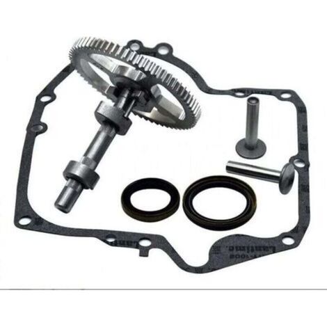 Briggs & Stratton Nockenwelle 793880 793583 792681 791942 795102 Nockenwellen-Austauschsatz mit Öldichtung 795387 und Ruikalucky Kurbelgehäusedichtungen 697110 LKBD (1/4)