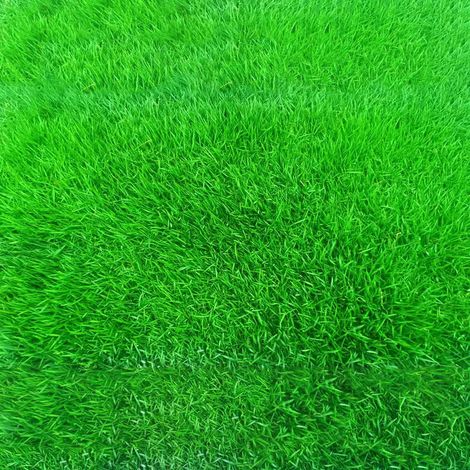 Graines De Gazon - Fétuque - Pour Pelouse Extérieure Durable - 10 À 15 M²