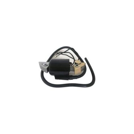 Bobine d'allumage compatible avec les motoculteurs G150 G200 G300 F400 F500 FR500 F600 WT20 30560-883-015 30500-887-303 Pièces de rechange (1/5)