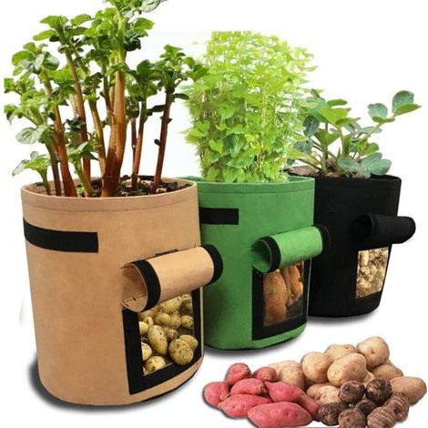 Sac de jardinage pour plantes et légumes 30x30x35cm – Tissu Noël tissé anti-corrosion – Fenêtre respirante – 1 sac de culture - 8inch (1/5)