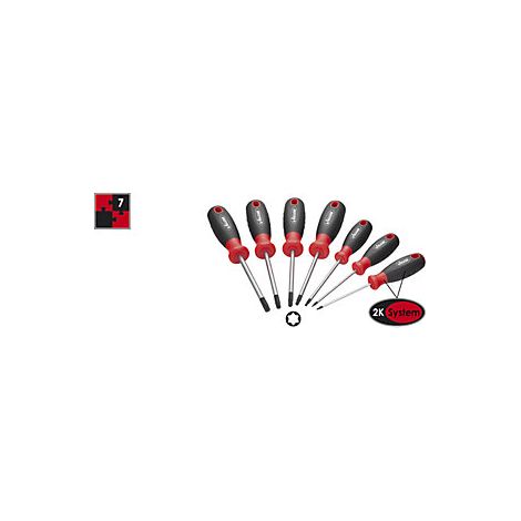 Juego de destornilladores con perfil hexalobular exterior  7