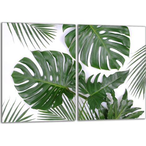 Protezione per piano cottura in vetro 2x40x52 Monstera (1/5)