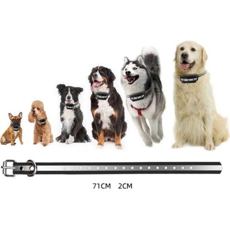 Collier anti-aboiement pour chiens de grande, moyenne et petite taille, collier anti-choc pour chien avec télécommande 1500M (paquet vide), collier anti-aboiement avec fonction bip et vibration (1/3)