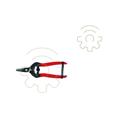 Ciseaux de rA colte ProGarden 16 cm avec lame en acier droite poignA e antidA rapante fermeture en caoutchouc