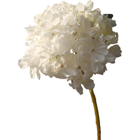 Fausses Fleurs D'hortensia, Fleur de Simulation de Bord brûlé pour la Décoration de Centres de Table de Mariage de Fête à Domicile (210826DY0231) (1/5)