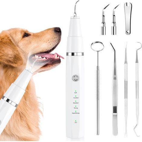 Kit de nettoyage dentaire pour chiens,nettoyeur dentaire ultrasonique pour animaux compagnie,soins dentaires pour chiens et chats (1/5)
