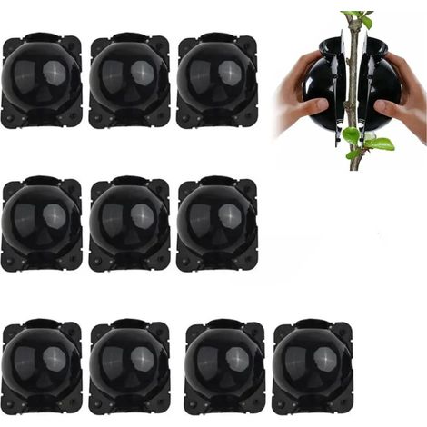 10 pièces de greffons pour plantes - Boîte de bouturage - Dispositif de bouturage pour le greffage et le palissage des racines - Plantes de 8 cm (Noir) (1/4)