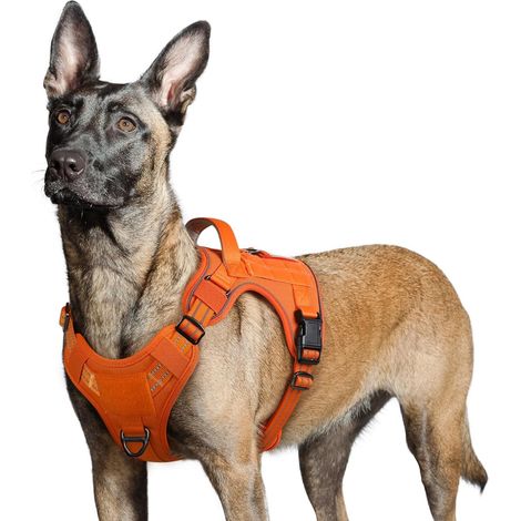 Harnais Chien Anti Traction, Harnais Tactique Chien, Orange, L (1/5)
