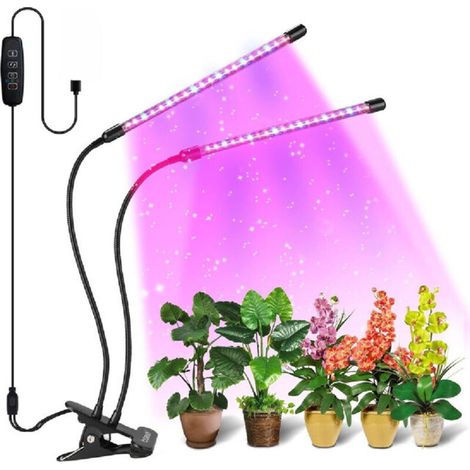 Lampe de croissance LED à spectre complet avec minuterie, à clipser.