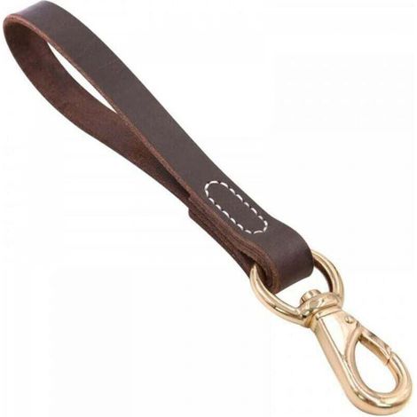 Laisse Courte pour Chien de 11,8'',Laisse pour Animaux de Compagnie,Laisse en Cuir pour Chien,Poignée Rembourrée pour Chiens de Taille Moyenne,Entraînement a la Marche (1/5)
