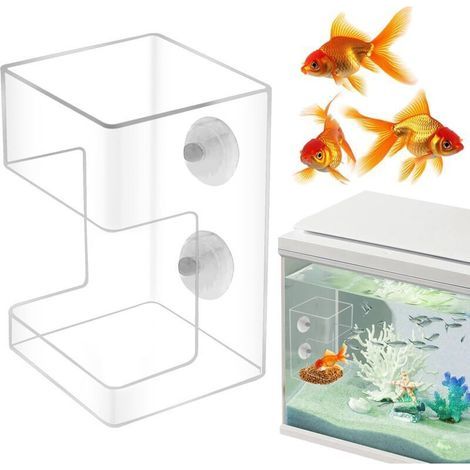 Mangiatoia per pesci d'acquario con ventosa, tubo di alimentazione per tartarughe e gamberetti, supporto in acrilico trasparente per evitare fuoriuscite di cibo. (1/4)