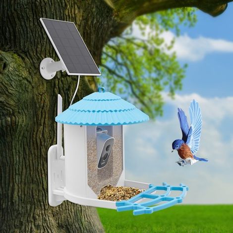 Outdoor Solar Bird Feeder Smart AI Recognition With 4MP HD Camera Night Vision (1/5)