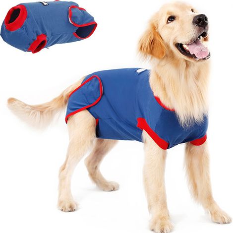Combinaison De Récupération Pour Chien Et Chat - Protection Post-Chirurgicale Contre Le Léchage Et Le Grattage - Taille S M L XL (1/5)