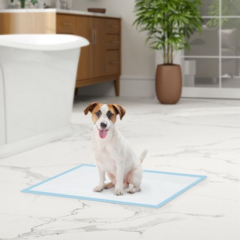 Tappetini assorbenti per addestramento cani, 100 pezzi, 45x60 cm, struttura a 6 strati con superficie ad asciugatura rapida e impermeabile, colore blu.
