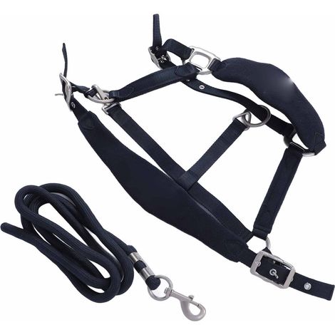 Ensemble licol pour cheval anti-frottement, réglable, avec laisse de 2 m pour l'entraînement quotidien. Bleu marine, taille S. (1/5)