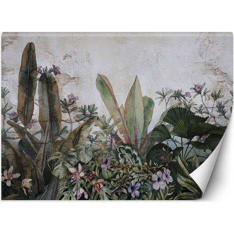 Papier peint mural, Monstera laisse mur en béton - 100x70 (1/5)