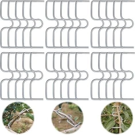 Set of 30 fruit tree branch spreaders, fruit supports, metal garden clips, for spreading and stretching fruit tree branches - (1/5)