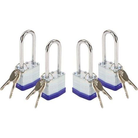 Cadenas robuste en acier laminé avec crochet à clé de 40 mm de long, adapté aux portails, abris de jardin, boîtes à outils et armoires (avec clé). (1/4)