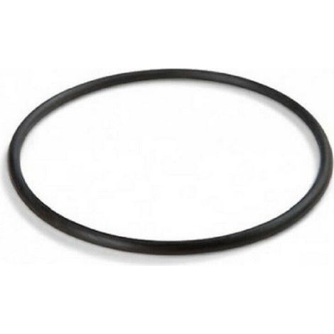 INTEX - 11232 - Guarnizione del cestello raccoglifoglie