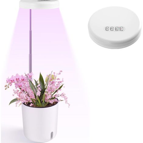 Kleiner Tischblumentopf, geeignet für Zimmerpflanzen, 2-in-1-Wand-/Tischtopf (Stecker nicht enthalten). (1/4)