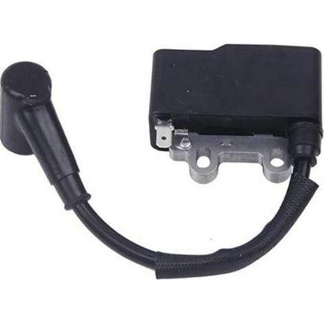 Il pacco bobine di accensione ad alta tensione è adatto ai modelli A411000130, A411000131, ES210 e ES255. (1/3)