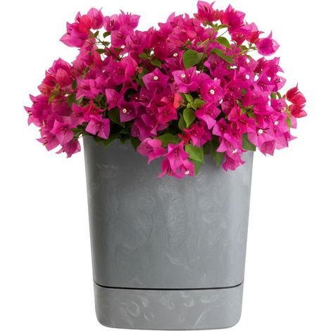 CUBI Blumentopf mit Untersetzer, recycelter, grauer Beton, 25 x 25 cm