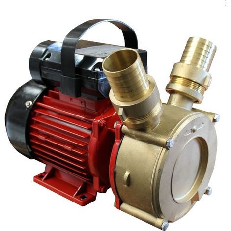 Bricoferr Bomba de Trasvase 70L/min, 1000W, Altura Máxima 12m