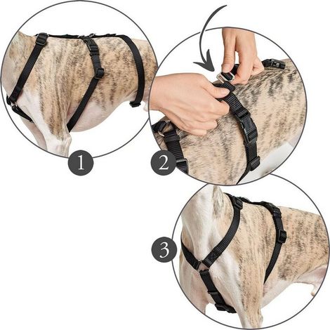 Imbracatura per Cani Hunter 48-70 cm Nero S/M (1/3)