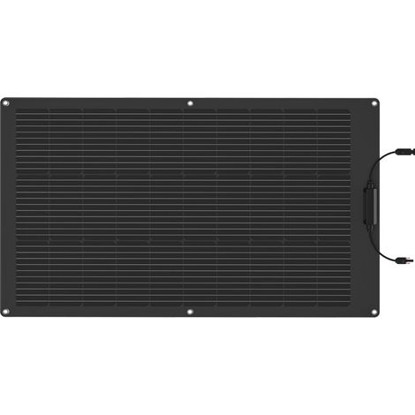 EcoFlow 100W Photovoltaikmodul