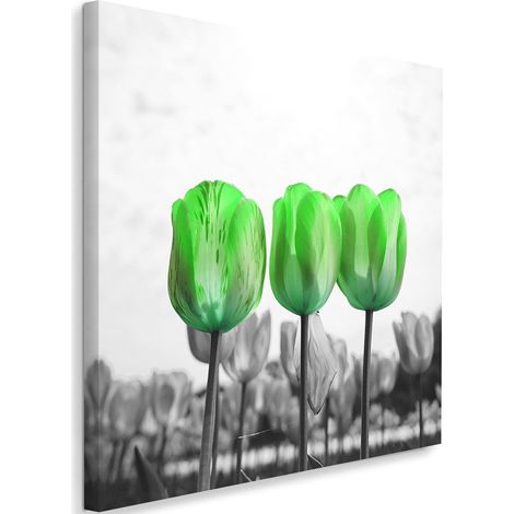 Cadre déco Fleurs Tulipes vertes 60x60 (1/5)
