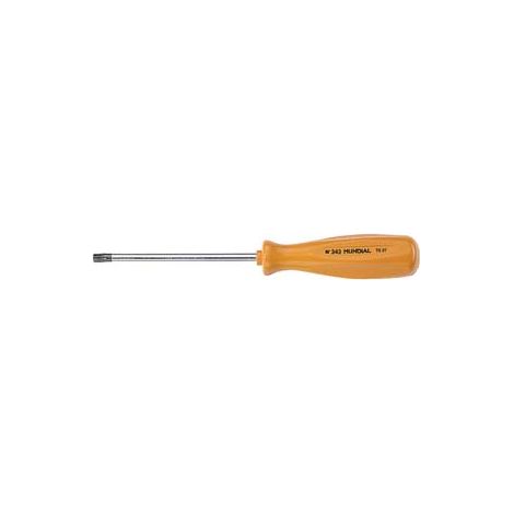 GIRAVITE CON IMPRONTA TORX- - T20 - 6 pezzi