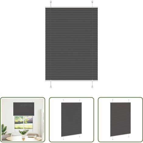 vidaXL Sichtschutz - Plissee Schwarz 100x150 cm Stoffbreite 99,4 cm Polyester (1/5)
