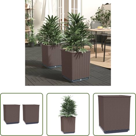Gartenanlagen -  Pflanzkübel 2 Stk. Braun 30x30x37 cm Polypropylen (1/5)