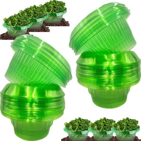 Lot de 24 colliers anti-limaces et escargots, clôtures anti-limaces pour plants de salades et de choux, anneaux anti-limaces, protecteurs de légumes (1/5)