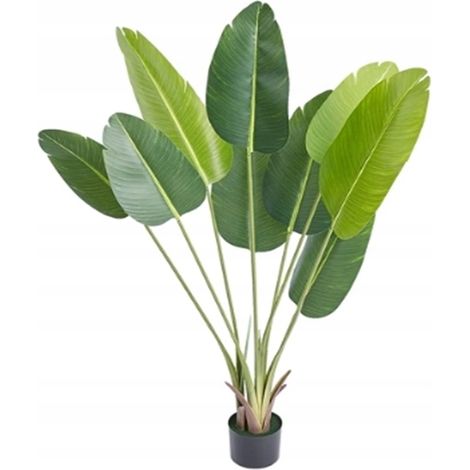 Künstliche Bananenpalme – Exotische Pflanze im realistischen Topf (150 cm) (1/3)