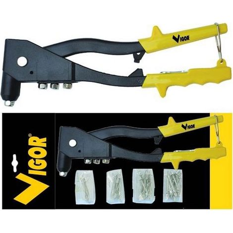 Cloueuse manuelle Vigor Kit+60 Clous Mixtes mm.2,4-4,8