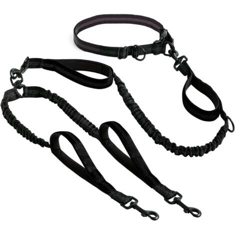 BUNTHAUS Laisse mains libre pour 2 chiens grande et moyenne taille laisse anti traction avec coutures réfléchissantes pour chien accessoire chien pour le jogging, la marche à pied, la randonnée, l’e (1/5)