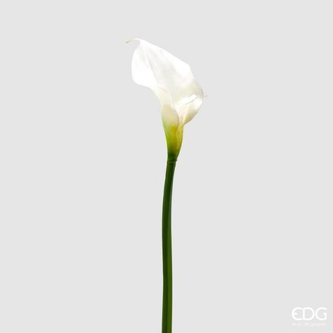 EDG Enzo De Gasperi Calla Royal Artificiale H 76 Cm White