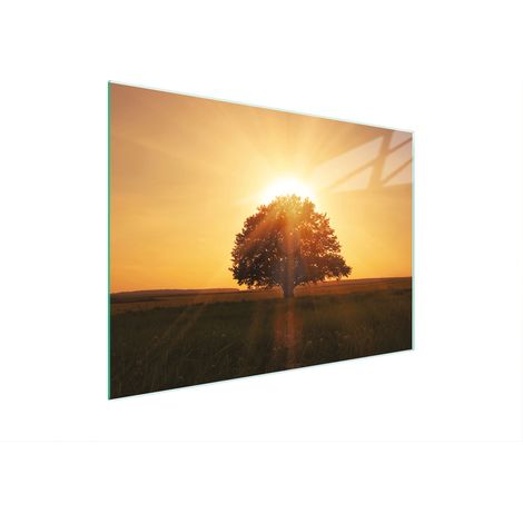 Planche à découper en verre 30x22 bois (1/5)