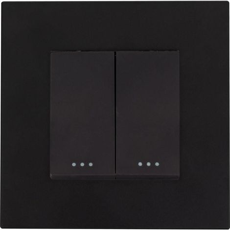 Schalter Doppelt mit PC-Rahmen Modern Schwarz